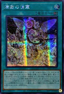 ☆アジア☆エルシャドールミドラーシュ【シークレット】{アジアSD37