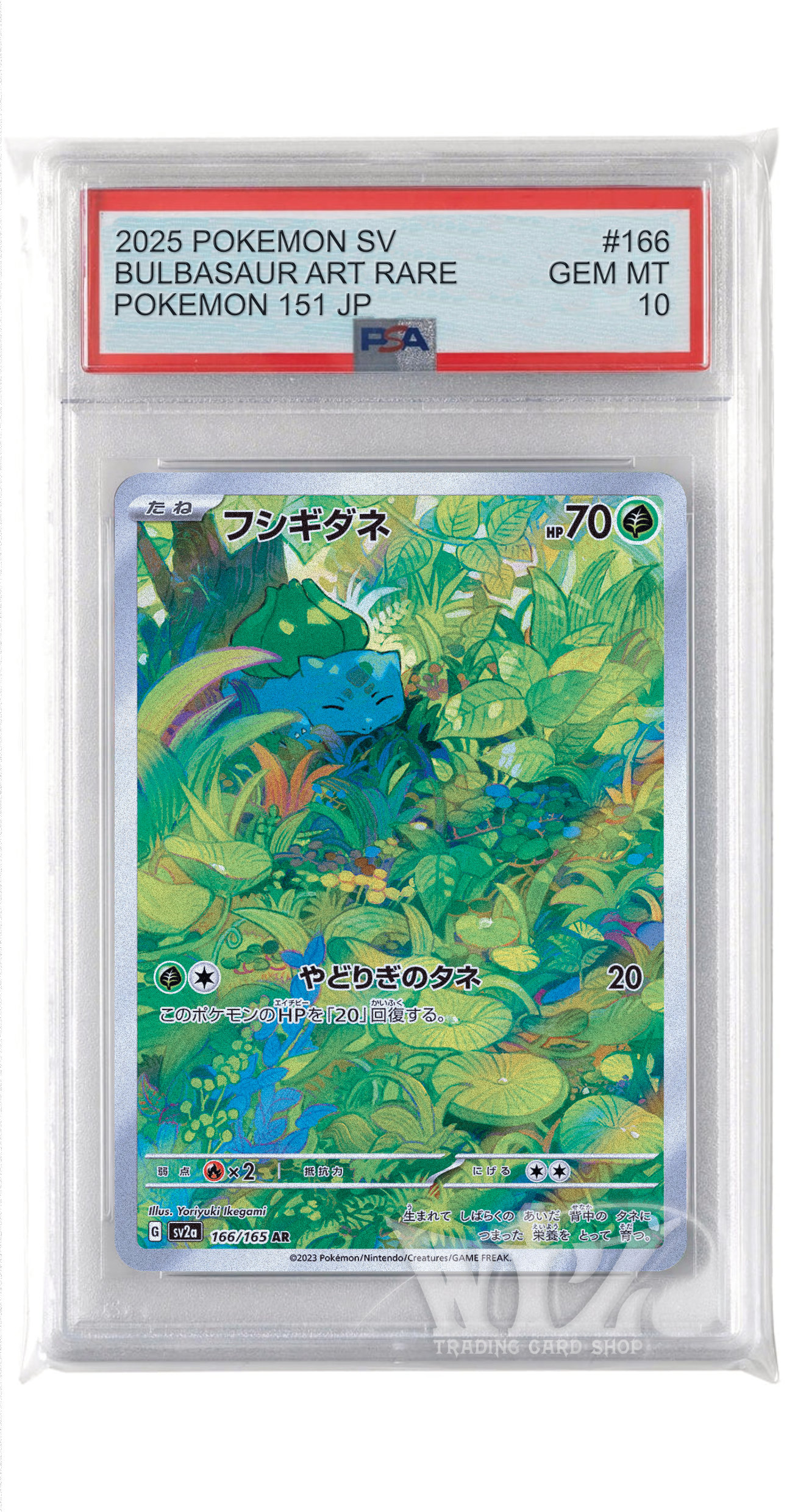 PSA10]フシギダネ【AR】〈166/165〉 - カードショップWiZ