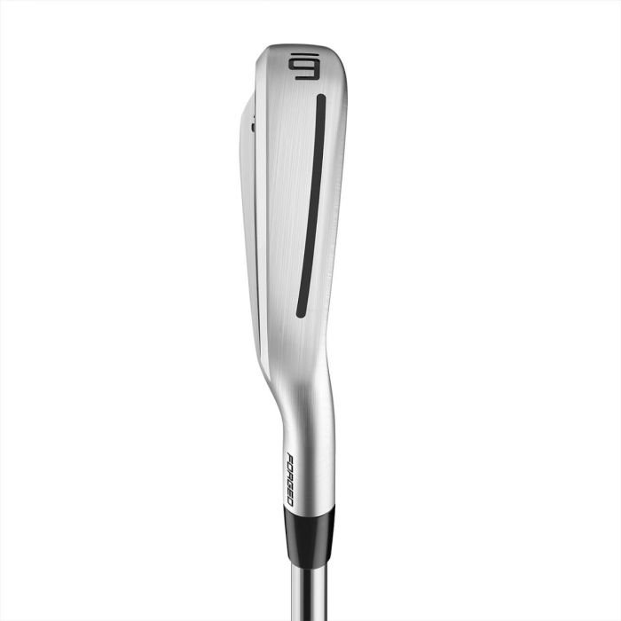 TaylorMade P770 Irons ON SALE- Carl's Golfland