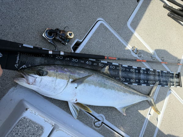 カーペンター メモリアル フィッシュ