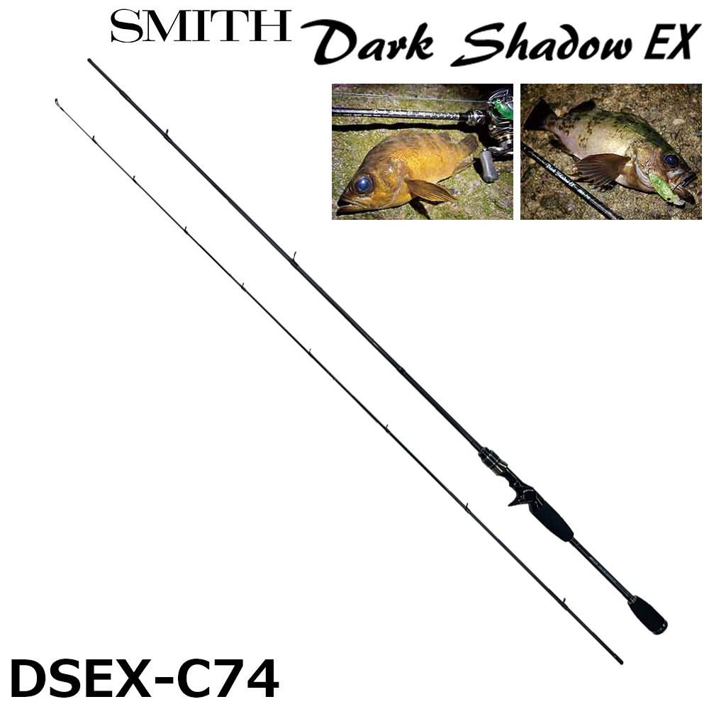 スミス(SMITH) ダークシャドゥ(Dark Shadow)EX DSEX-710 ☆特別割引品