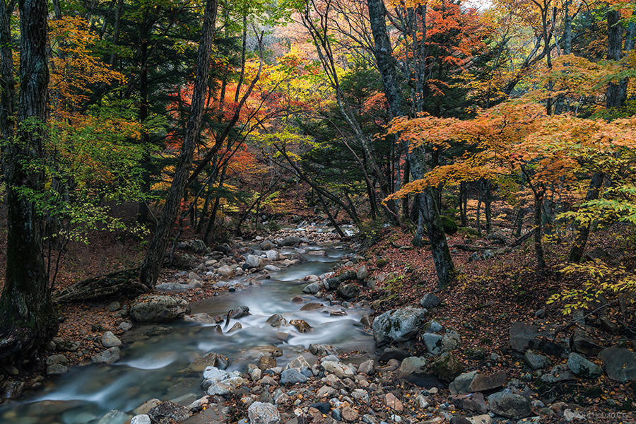 04.増富温泉と渓谷美 - 山梨県北杜市公式サイト
