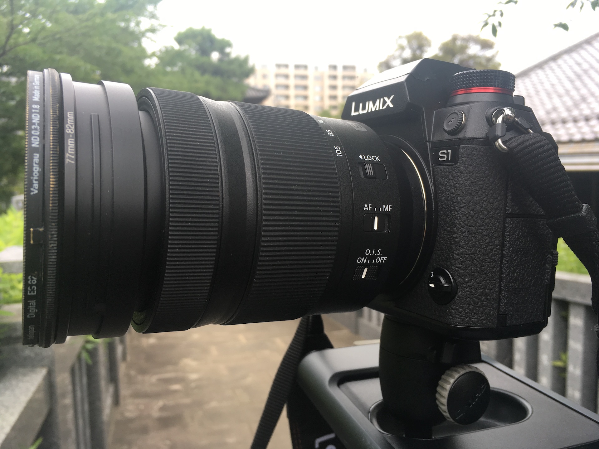 Panasonic LUMIX S1 V-Log - First Look and Sample Footage | CineD
