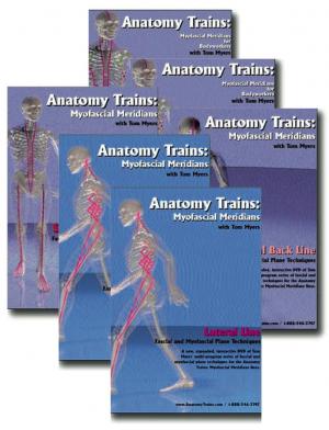 Set I of 6 Videos - Technique Series