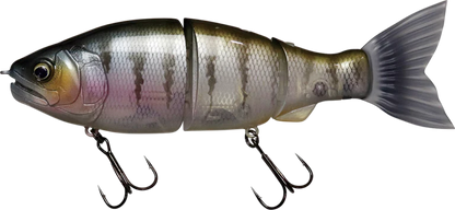 Jointed Claw Ratchet 184F – Anglers Central