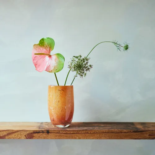 Henry Dean(ヘンリーディーン)/Joe タイガーリリー | 青山フラワー