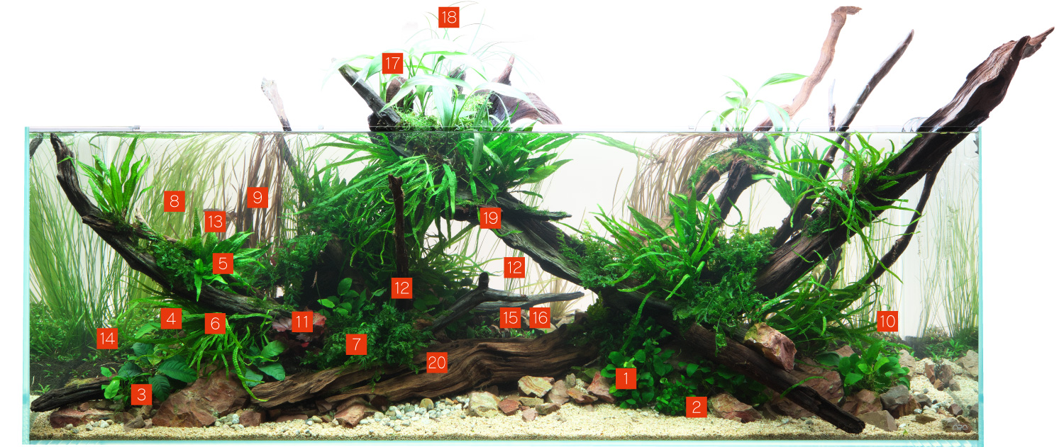 CREATOR WORKS ［ 森の交差点 ］ | AQUA DESIGN AMANO