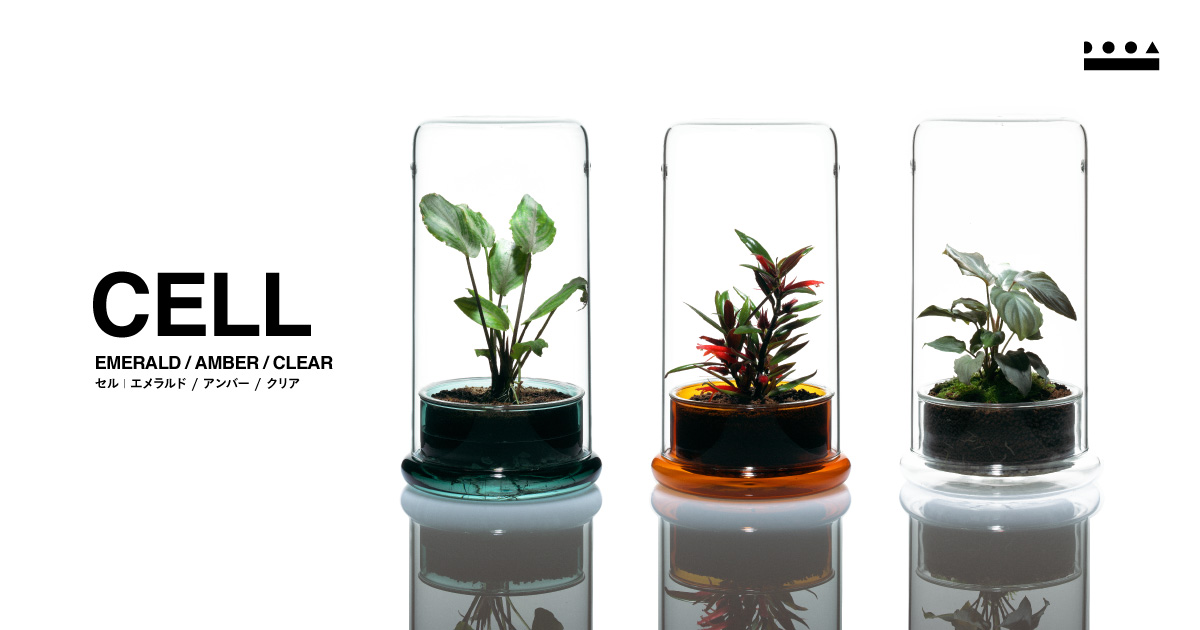 ガラスポット「CELL」 発売のお知らせ | ADA - NEWS RELEASE