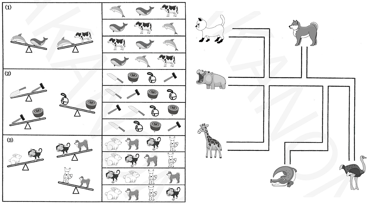 ジャック お茶の水 年長総合の夏休み宿題プリント 小学校受験 ペーパー