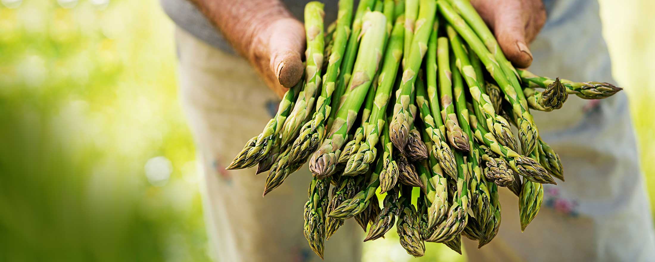 Products | 株式会社アスク