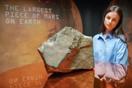 火星の隕石に7・8億円 米競売、史上最大24キロ｜静岡新聞DIGITAL