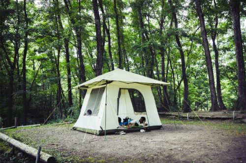 コールマン速報】ブランド創業120周年を記念した限定モデルを発表