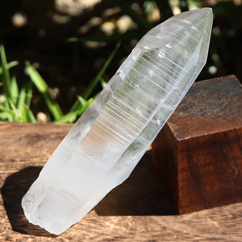 店長厳選】ブラジル・バイーア州アレグレ産マスターレムリアンシード