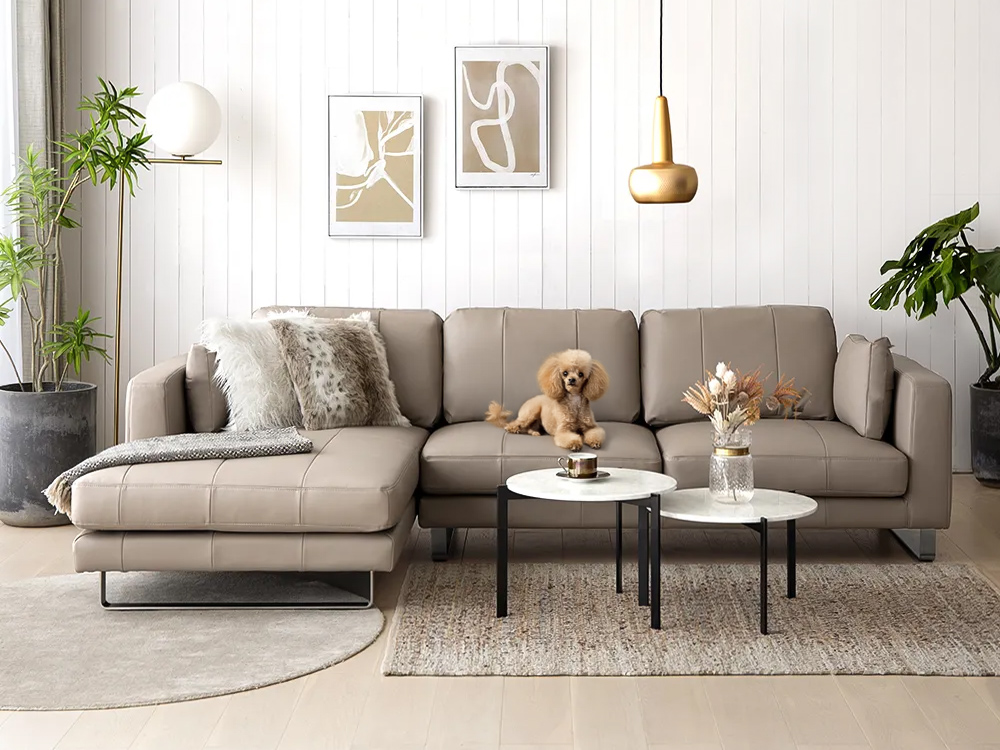 ソファベッド | Armoniaブログ | 家具・インテリア通販【アルモニア公式】