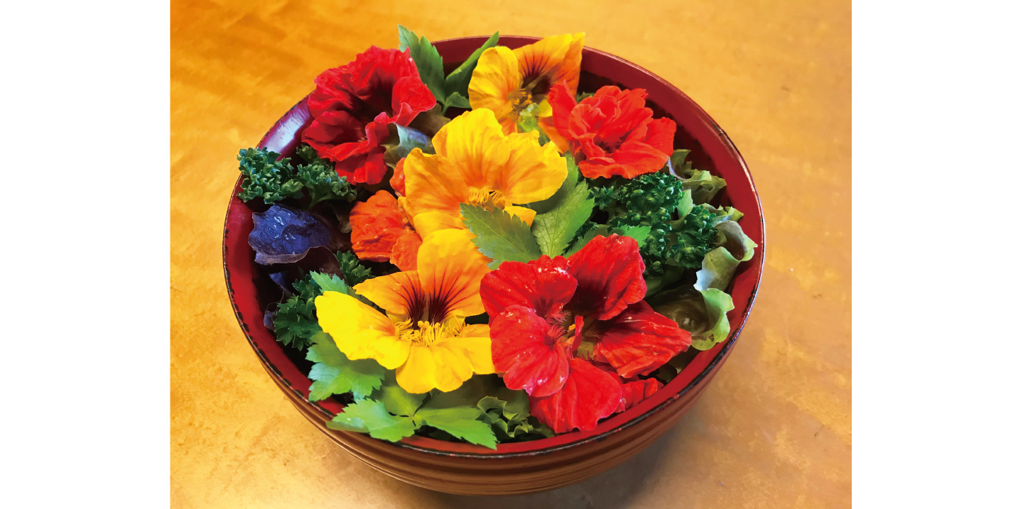 ⾷べられる花「エディブルフラワー」とは︖苗からの育て⽅もご紹介