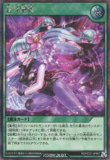 遊戯RD】エルフの剣士【シークレット/通常】RD/HC01-JP059遊戯王