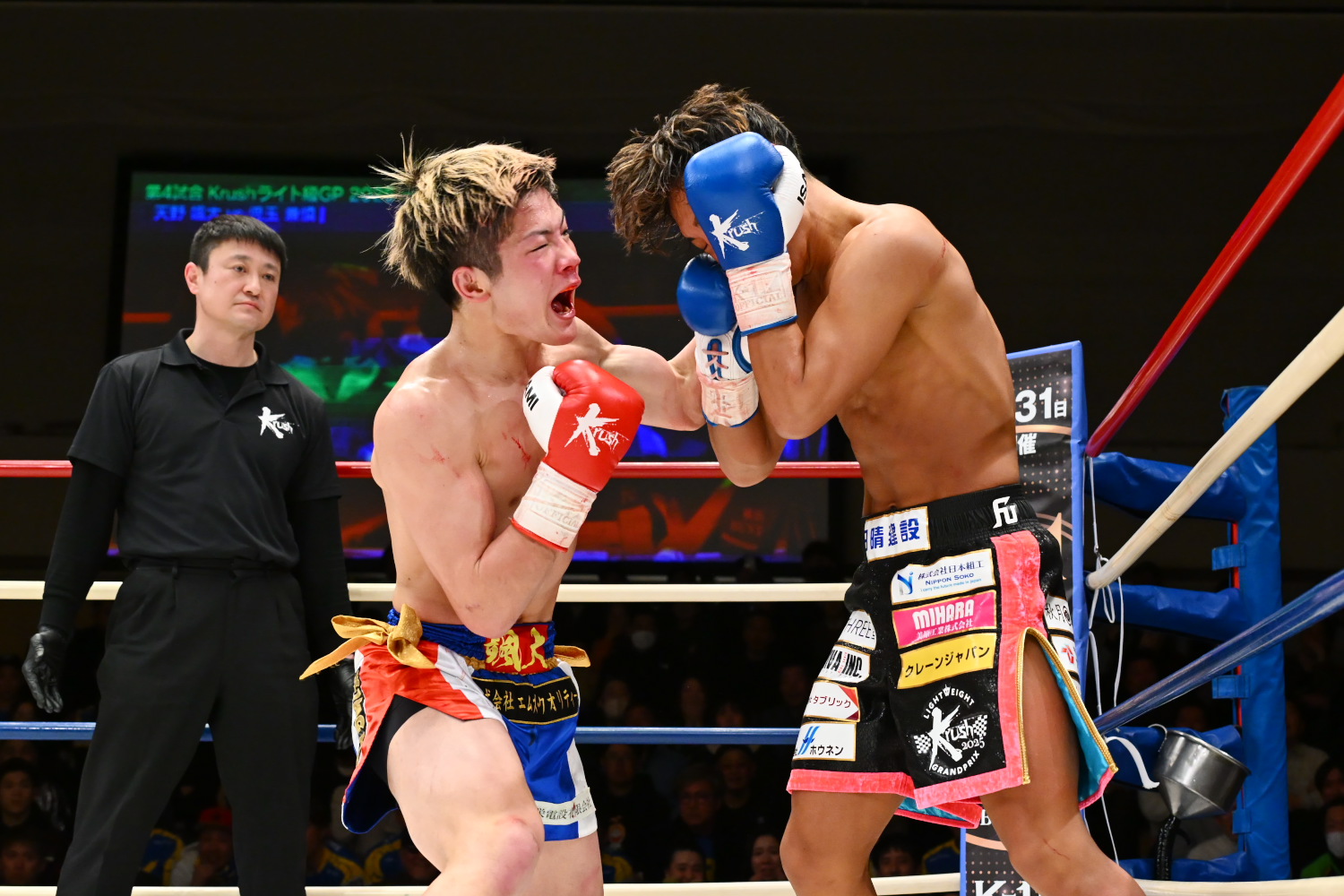 Krush 2.24 後楽園ホール（レポ）：本命の西京佑馬、決勝で古宮晴を1R