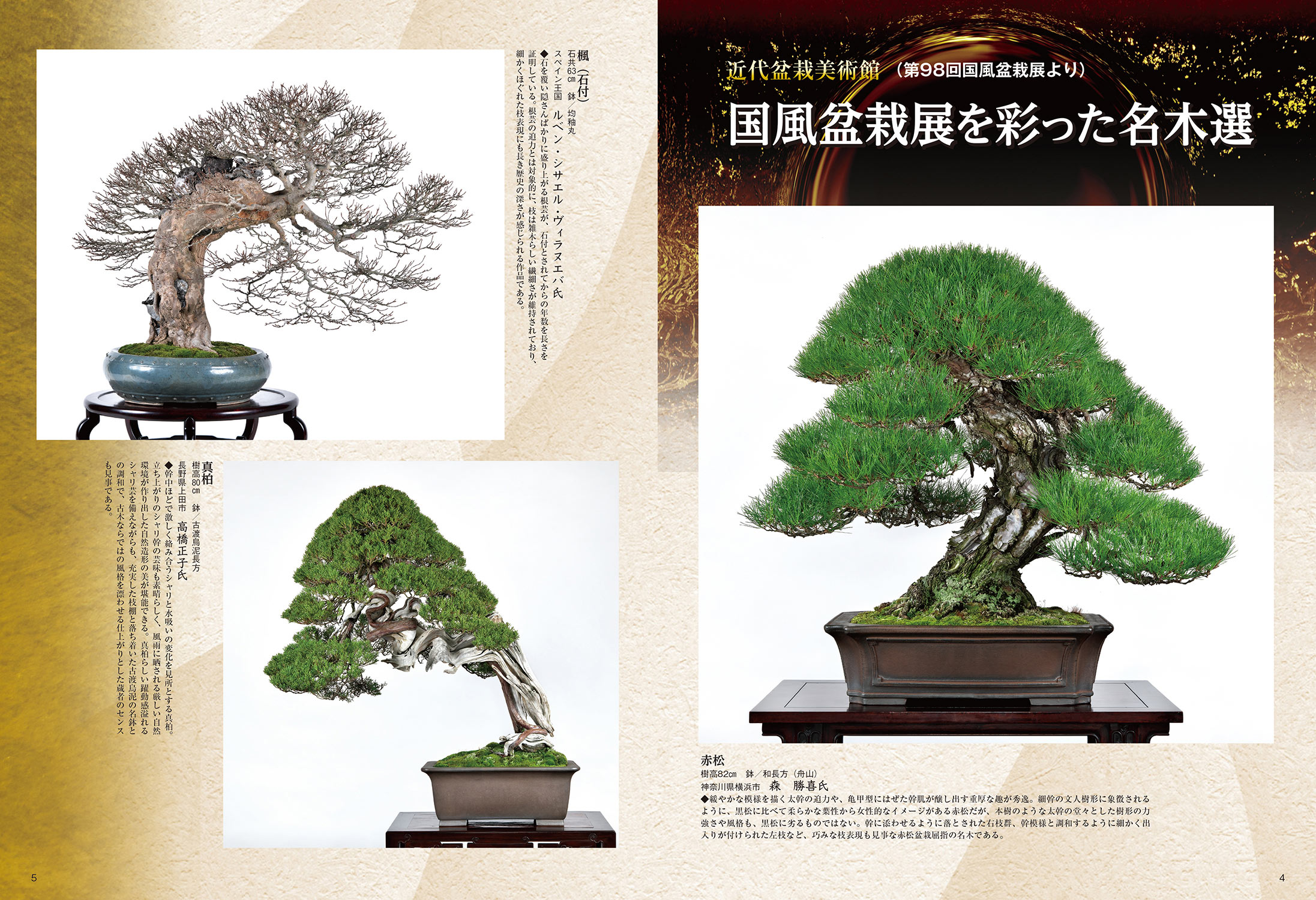 月刊「近代盆栽」2024年5月号 | 盆栽、盆栽書籍、盆栽鉢の通販│近代出版