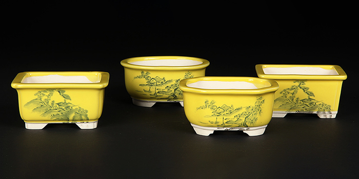 瀬戸焼文山窯色絵鉢4点セット（黄） | 盆栽、盆栽書籍、盆栽鉢の通販