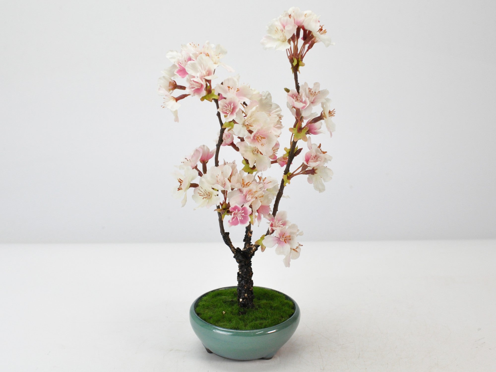 造花盆栽 桜の販売｜盆栽妙 – 盆栽妙 本店