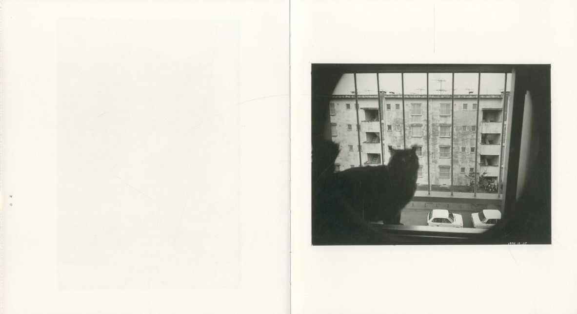 Wonderful Days / 写真：深瀬昌久 編集人：大田通貴 | 小宮山書店