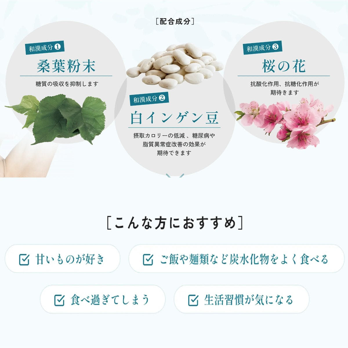 スリムレイ カッティー12箱・バーニー12箱 15g×30包 24箱セットの卸