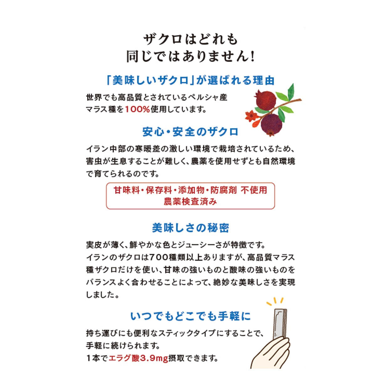 美味しいザクロ 300g（10g×30包）の卸・通販 | ビューティガレージ