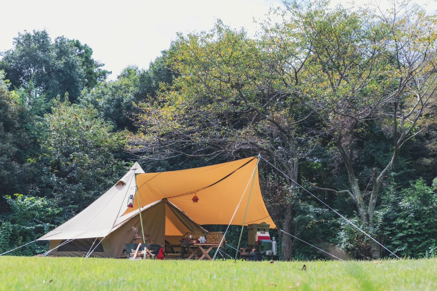 ogawa（オガワ）／システムタープ ペンタ4×4 T/C-II | 道具・ギア 【BE