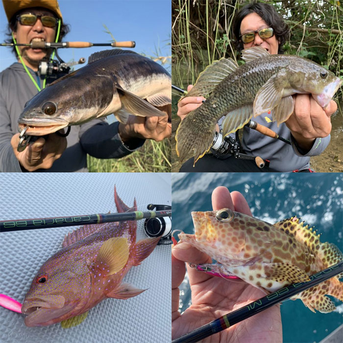 フィンチ カナリア 66ML （パックロッド スピニング） - 【バス