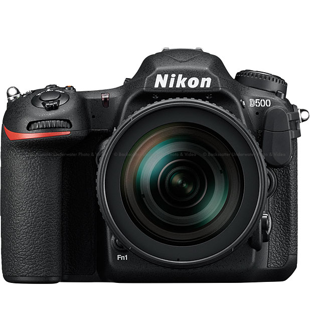 nkl-1559_3.jpg?resizeid=6&