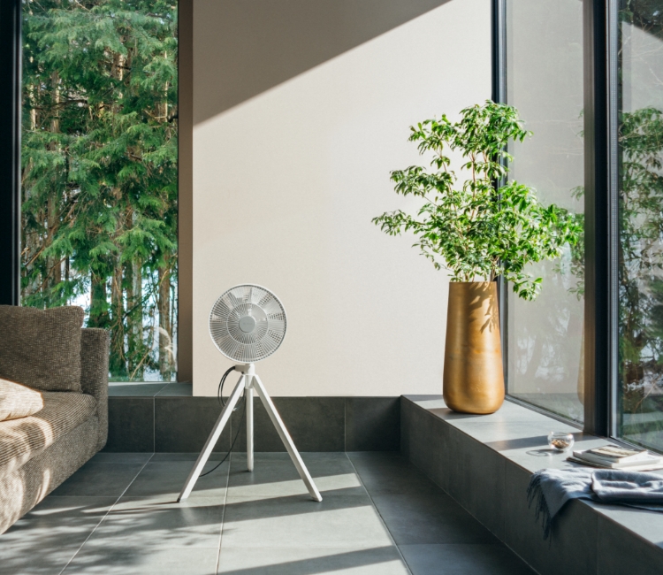 GreenFan Studioの特徴 | GreenFan Studio | BALMUDA（バルミューダ