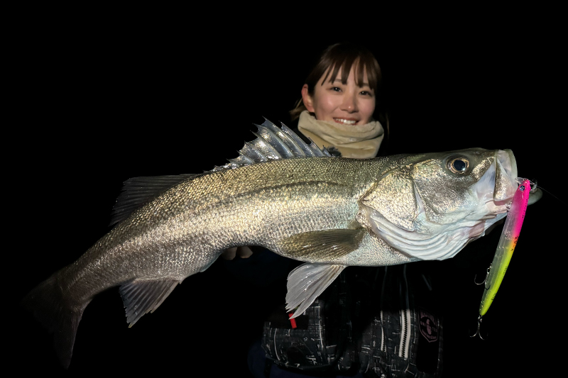 ブローウィン167F-Shallow | ブローウィン | ルアー | 製品 | BlueBlue