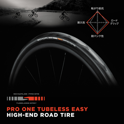 SCHWALBE シュワルベ [ PRO ONE TUBELESS EASY ] プロワン