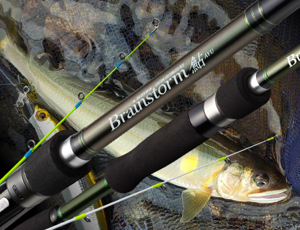 ブレインストーム鮎 ｜ ゴールデンミーン