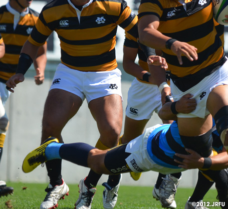 Canterbury REPLICA COLLECTION