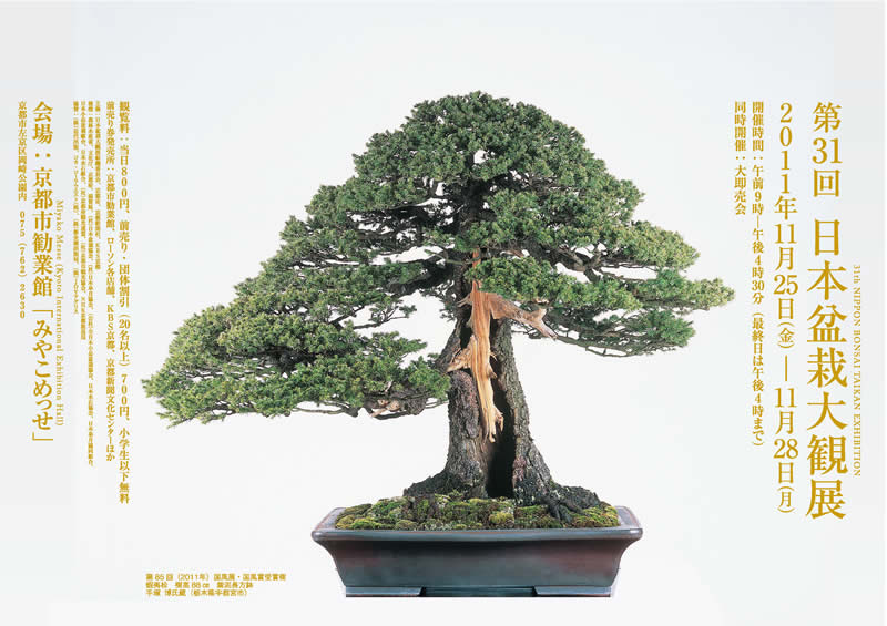 第31回『日本盆栽大観展』 – 現代盆栽 Gendaibonsai