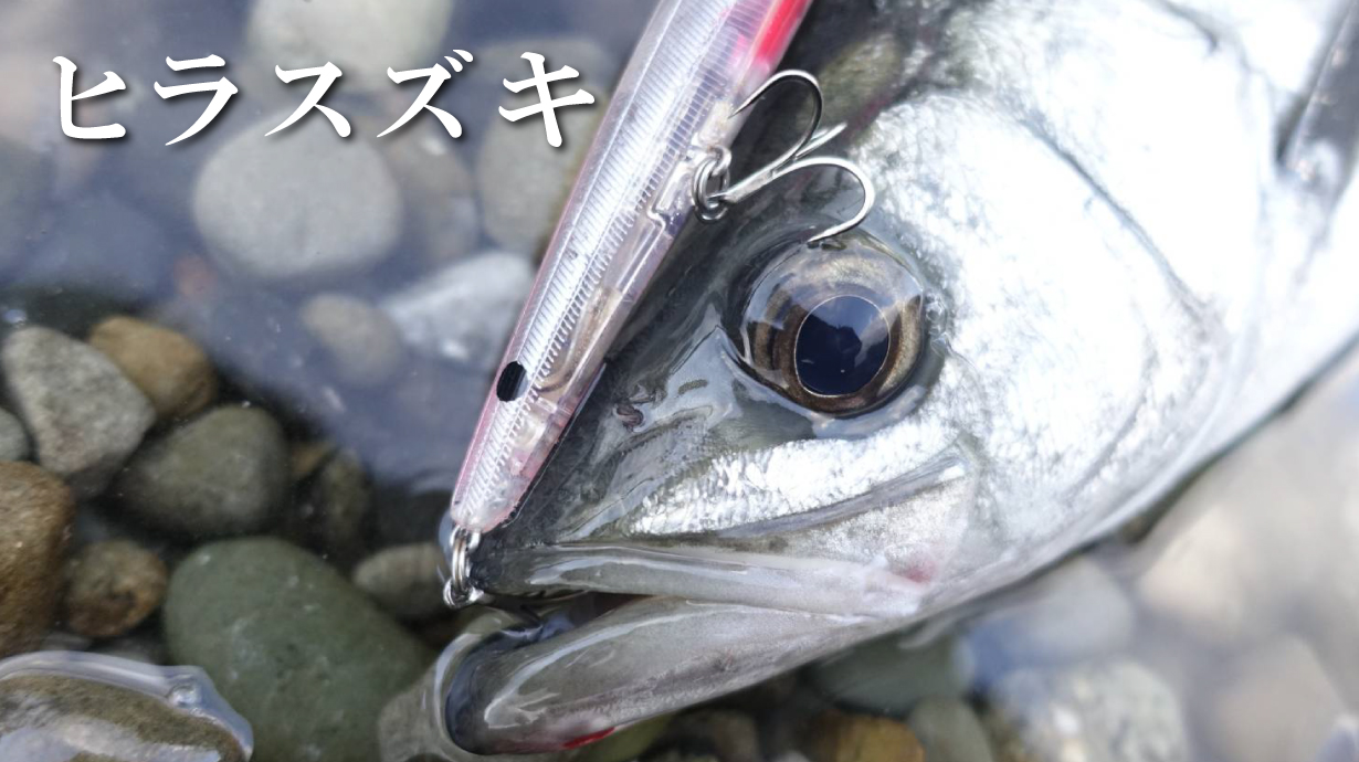 ラグゼ ショアゴリラR | がまかつ