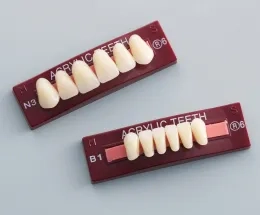 レジン歯 | 株式会社ジーシー