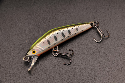 スミス D-コンパクト 38 13チャートバックヤマメ｜ルアーの通販専門店