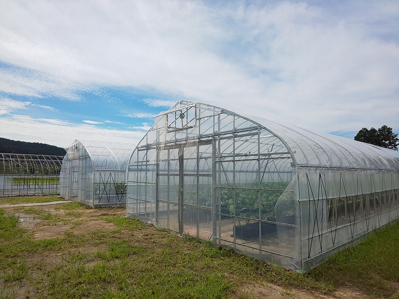 園芸用パイプハウス 6.3mx50m｜株式会社江口屋｜ビニールハウス、農業