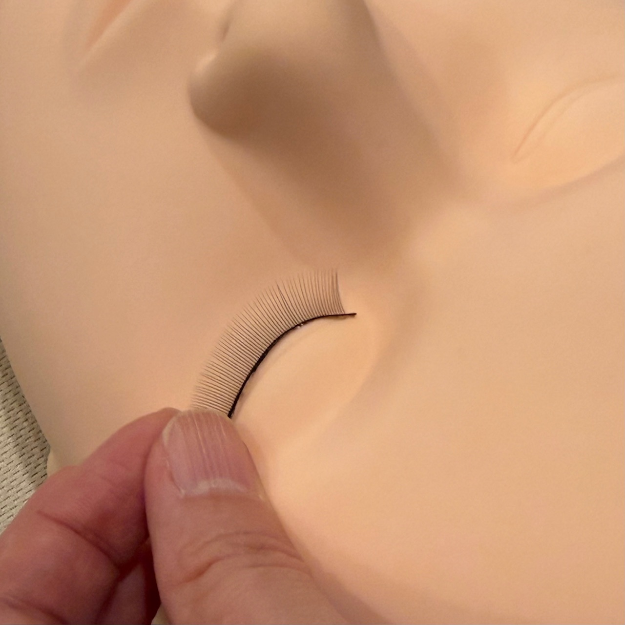 練習用つけまつ毛(5個セット) / 【テクニコ公式】まつ毛商材の仕入れ卸販売