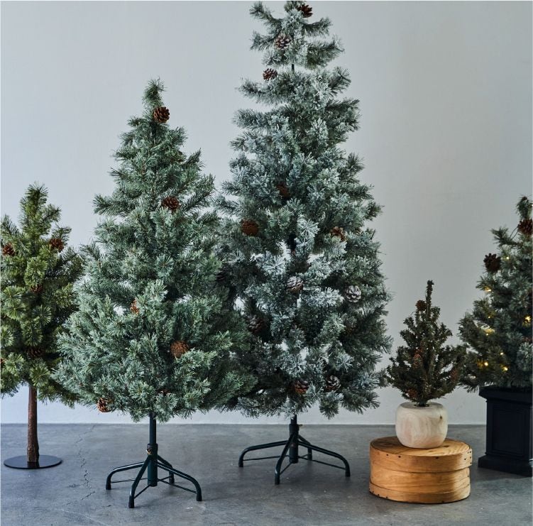 studio CLIP CHRISTMAS TREE