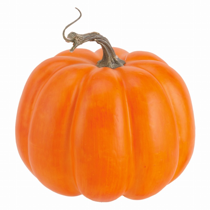 パンプキン（*）（商品詳細）| 株式会社ドガ