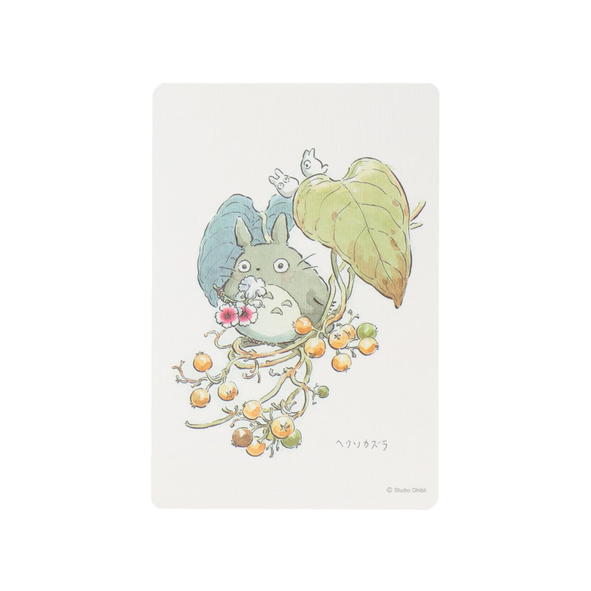 トトロファンドグッズ ポストカード (草花)5枚入り [S-103] | どんぐり