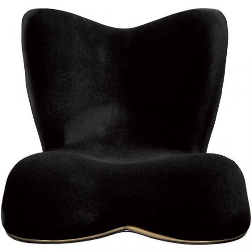 デンキチWeb / MTG エムティージー スタイルプレミアム ブラウン Style