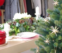 金の星（小）】ERZ ドイツ アルビンプライスラー 【正規輸入品