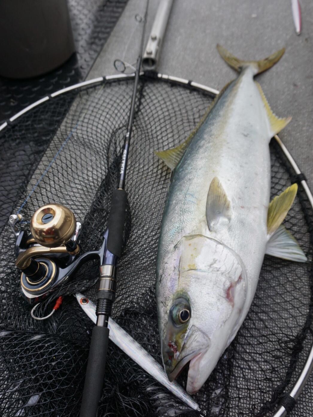 ソルティガR J62S-4LO 北部九州エリア 新定番ジギングロッド！<SALTIGA R J62-4 LO> 末永知也