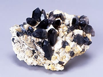 FPDM: 標本データベース - 黒水晶（石英）