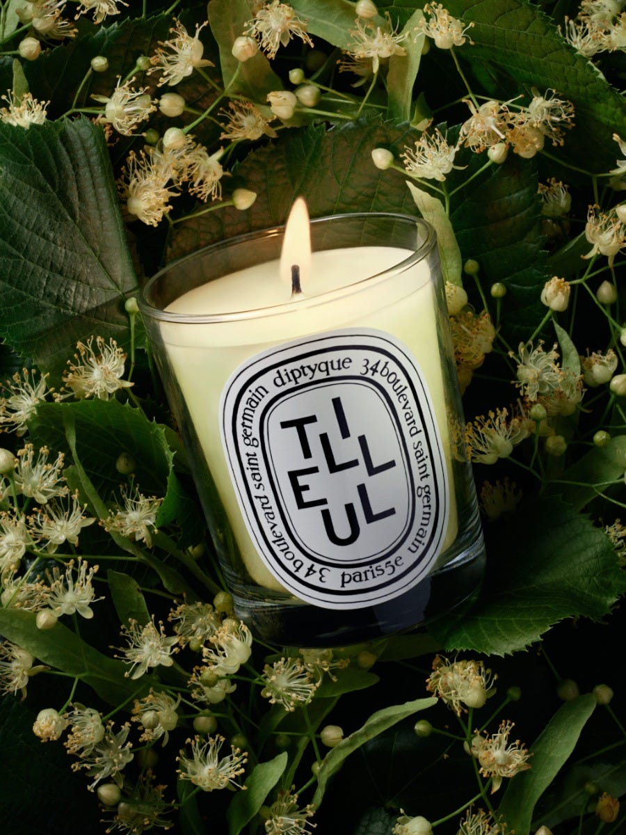 Tilleul (Linden Tree) - Classic candle | Diptyque Paris