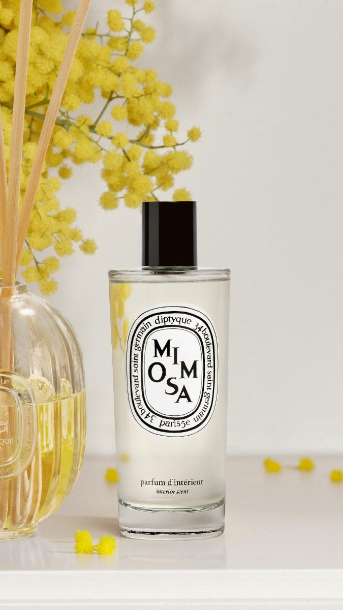 reed_diffuser_boost_2025_ctm_v